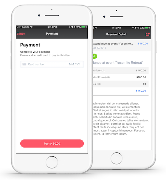 Payments-Simplified-557x605